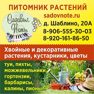 Садовые Ноты Интернет Магазин