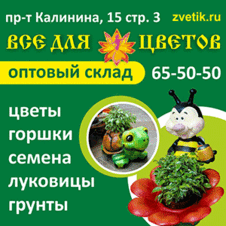 Магазин Цветов Семена Луковицами