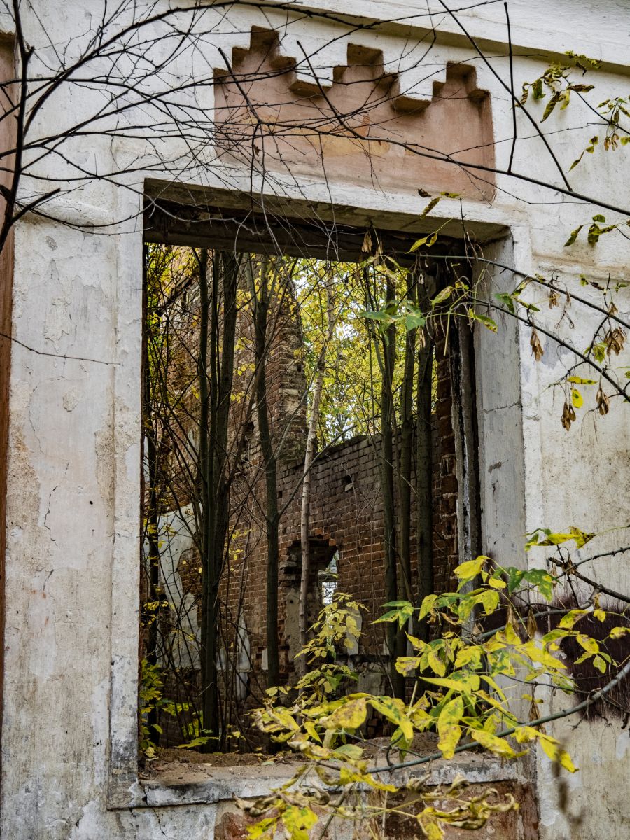 Самостоятельная экскурсия по Морозовскому городку. Много красивых  фотографий.